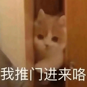  表情包最新精选聊天沙雕表情包合集