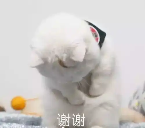  微信感谢表情包合集给过年抢红包的你