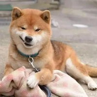 拜见歪嘴龙王表情包