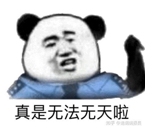  选调生的前途怎么样已经大三家在小县城不知道该怎么选择了