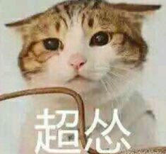  佟大为与蒋欣的奔腾年代应该改名叫马赛克年代