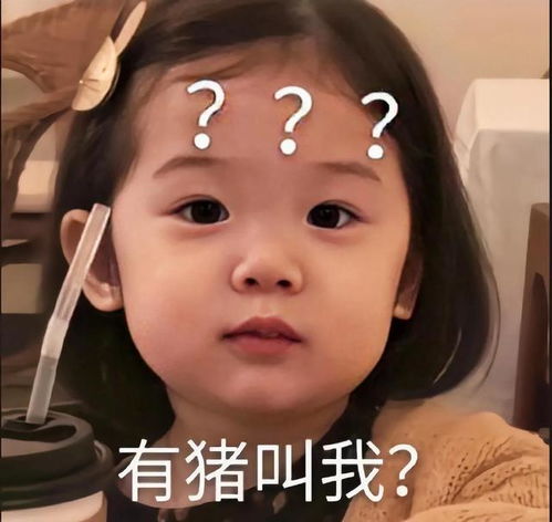  表情包每日难题,一会儿吃什么