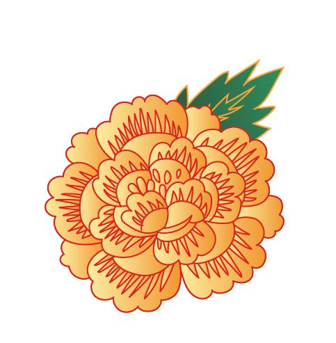 幸运花头像行大运