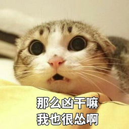  穷养的女孩和富养的女孩的区别在哪