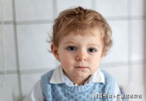  虎年的宝宝起名大全有宏伟意境的男孩名字