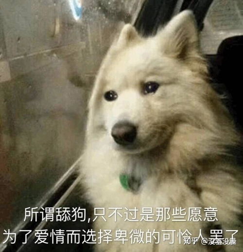 表情包里藏字舔狗