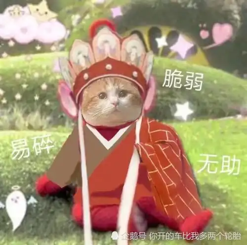  和双子座谈场恋爱吧