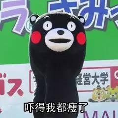 注意国内航线将不能用通行证护照坐飞机儿童也要验证才行