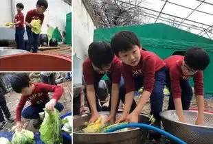  表情包民国三兄弟腌咸菜民国三胞胎是哪一期的节目民国几岁了