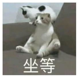  社区巴士终于等到你,岩头镇专属旅游社区巴士来啦