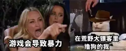  使命召唤引发了枪击案国外网友用沙雕表情包回击美国政客