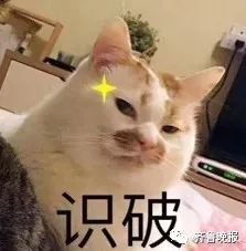  沈梦辰被骗汤唯被骗撒贝宁差点被骗防不胜防啊
