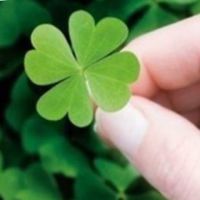  成都人带你切耍