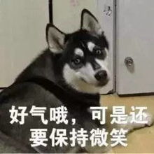  白宇粉丝手撕节目组,范丞丞为失误道歉,这个节目才刚开播就话题不断啊