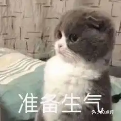  电话,地址,价格,营业时间