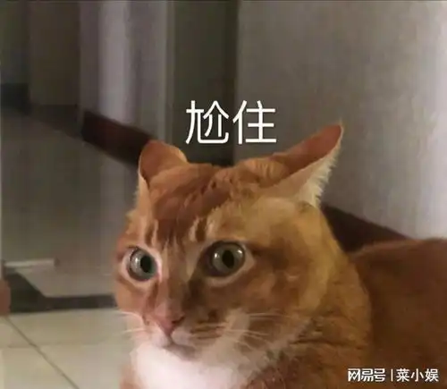  与迪丽热巴同起点,颜值出众却红不了,祝绪丹的尴尬是选错角色吗