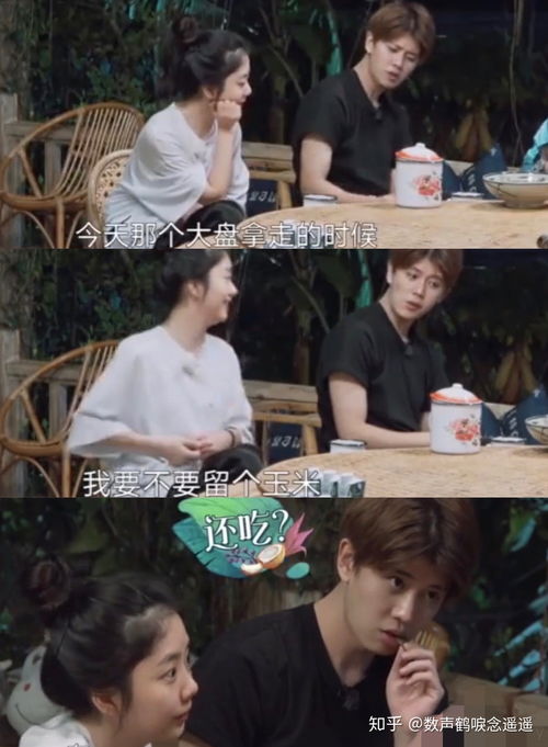  如何看待任嘉伦国超在向往的生活中的表现