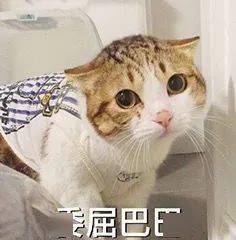  我感觉有点怂了......杭州一女子在山上迷路了,怂巴巴地开始报警