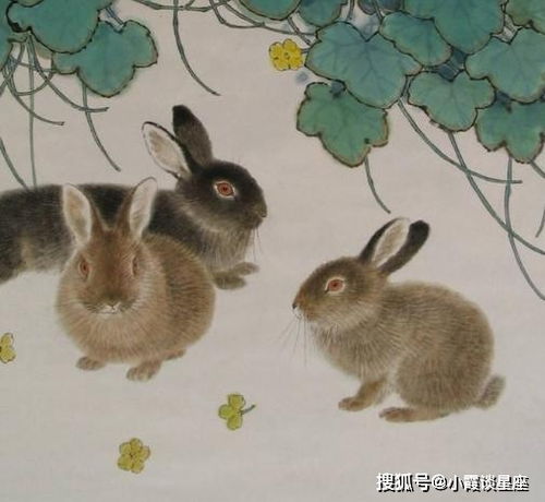  越老魅力越大,女人味十足,一生有人宠爱的3生肖女