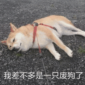  三月首篇师院樱花绽放,快来留言你的新学期计划