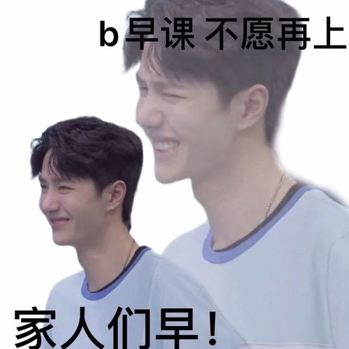  王一博肖战表情包这组表情包简直笑死了