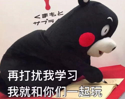  还不到8点,前三排就被占满了清华式占座被抬上了热搜
