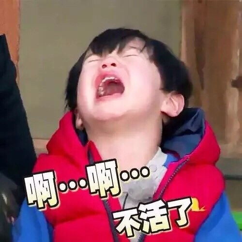  是我太过分了嘛
