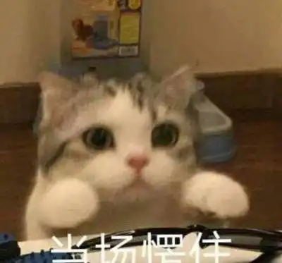  惊奇队长噬元兽表情包这是什么神仙女孩
