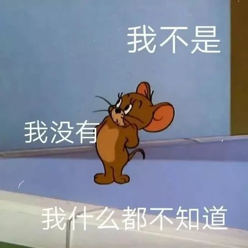  猫和老鼠搞笑表情包弱者才睡觉,你是弱者吗