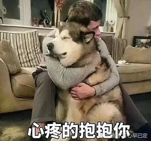  对象要跟你分手怎么哄求你用用表情包吧,小可爱马上回心转意