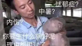  这是我家的土狗,没进过城没吃过狗粮,也没读过书,但是我在他眼睛里看到了纯真,有一种野性的美感