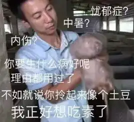  普通农民也能成超级网红,看看华农兄弟的竹鼠是怎么火的