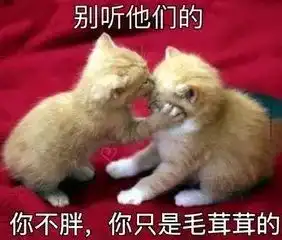  燃烧你的卡路里四款日本健康酵素,让你坐躺趴就能瘦