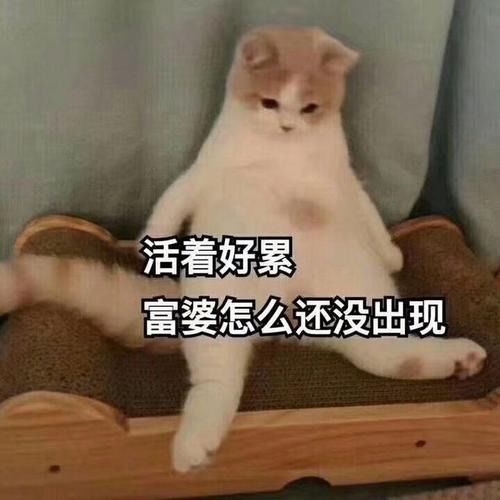  中信通集团马云称年轻人怕压力就白活了