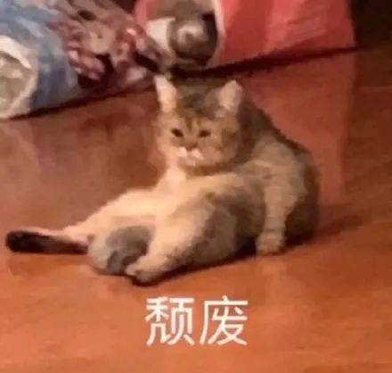  先别脱衣服啊广州下周又降温了最低6c