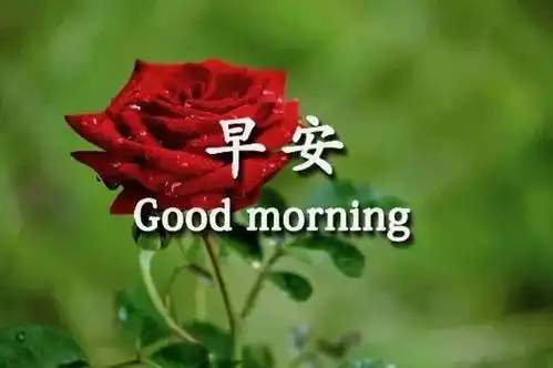  上午好漂亮图片动图,唯美动态表情祝福语图片