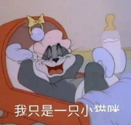  沙雕可爱表情包