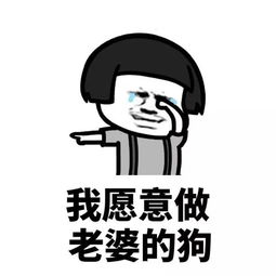 如何哄老婆开心表情包妻