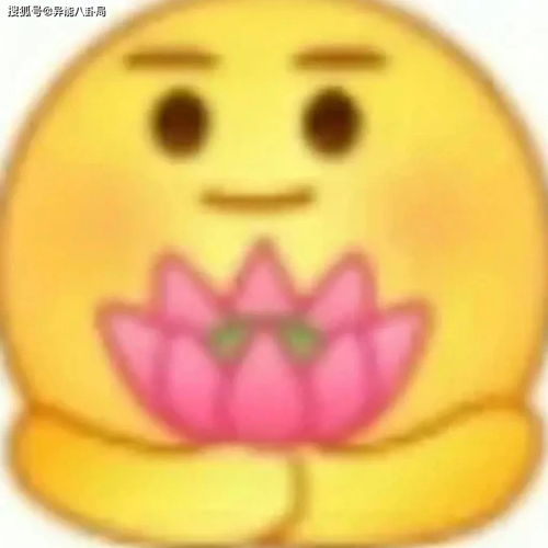 这才是成年人该看的东西