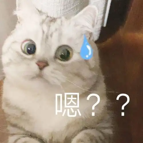  小猫咪凶巴巴表情包我不是你最爱的小猫咪了吗