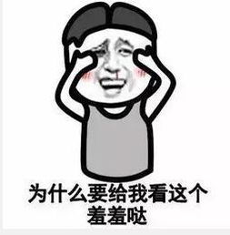  网通社汽车盈丰徐州瑞彩店
