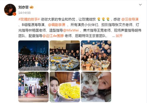  热搜腾讯四连爆,付费用户大增玫瑰的故事收官,刘亦菲佟大为等发文