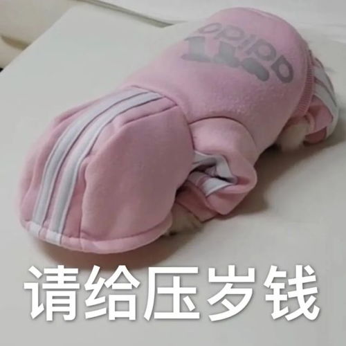  抖音拜年要红包表情包