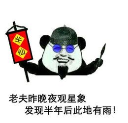 2018熊猫人搞笑表情包算