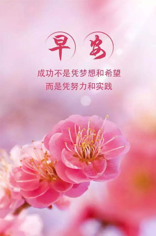  生活,就是把快乐装在心中,一路向前,早安