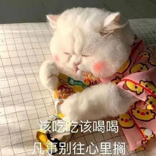  萌新攻略美食篇这世间唯有铜院与美食不可辜负