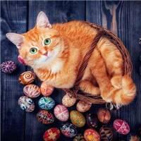  可爱小猫头像