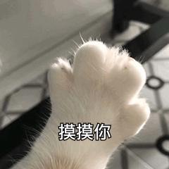  坏坏的撩妹表情包今天你那里吹风了吗风有告诉你我喜欢你吗