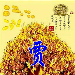  招财进宝先招才,财源广进宝才来,微信头像,姓氏手机壁纸送给你