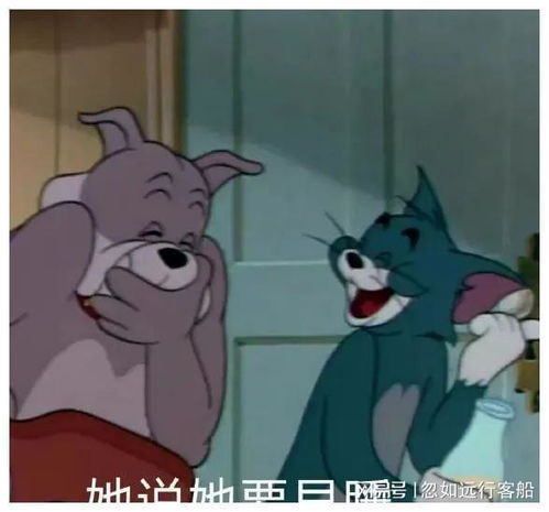  搞笑聊天表情包i你不要逼我